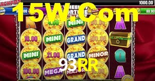 Programa VIP 93RR